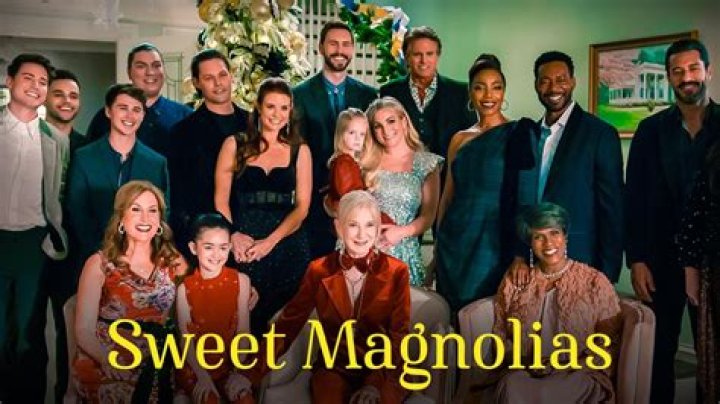 Are Harlan and Helen Related on Sweet Magnolias?