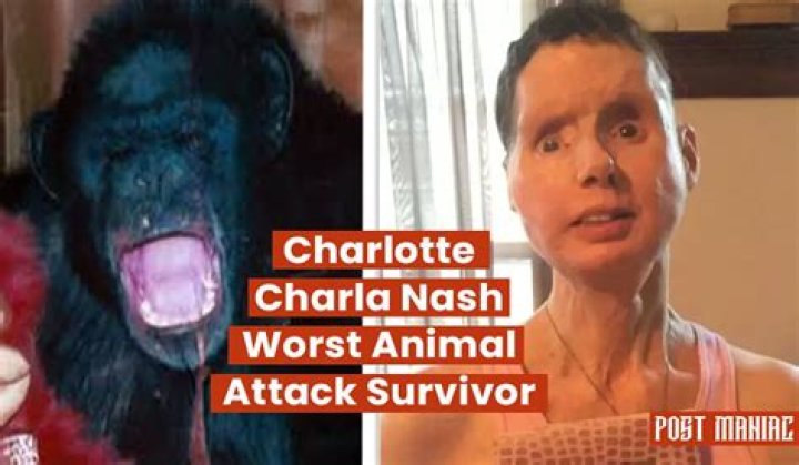 Charla Nash Net Worth, Income, Salary, Earnings, Biography