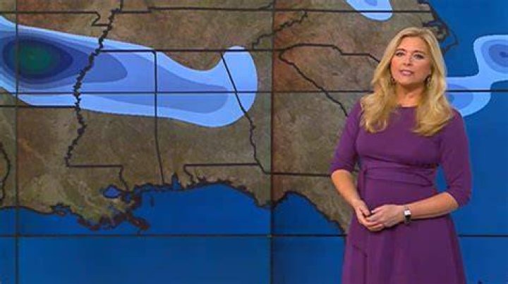 Chris Bruin (Weather Channel) Married, Wife, Age, Height, Wikipedia