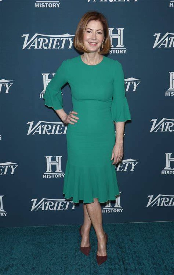 Dana Delany’s Net Worth, Age, Height, Weight, Boyfriend, Dating, Kids, Bio-Wiki