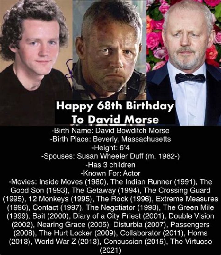 David Morse – Biography, Height, Wife, Children, Net Worth
