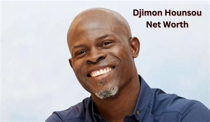 Djimon Hounsou Net Worth, Income, Salary, Earnings, Biography