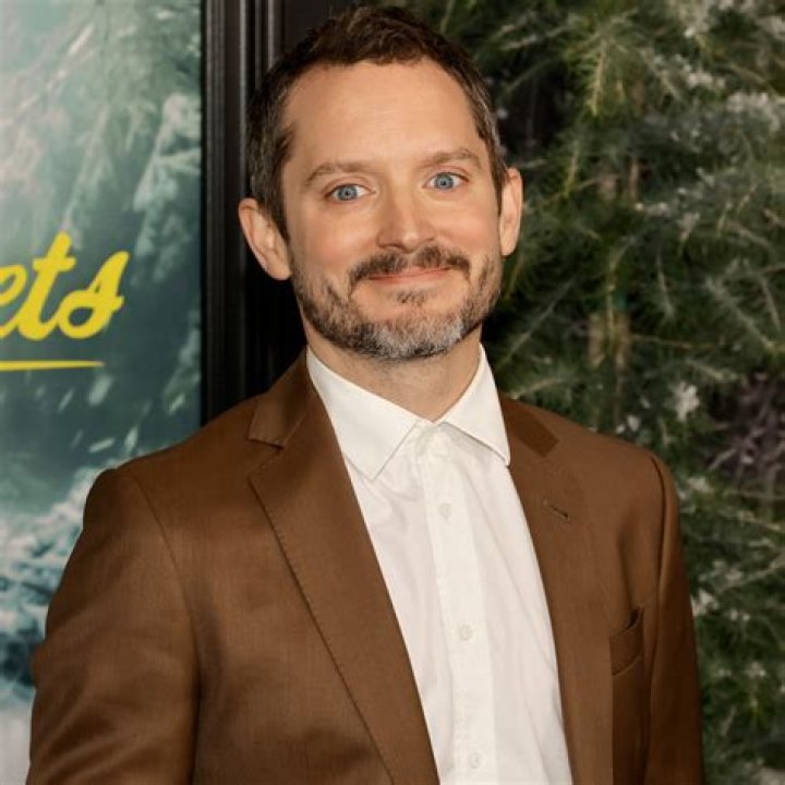 Elijah Wood Net Worth: How rich is Elijah Wood?