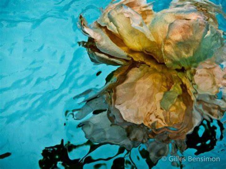 Gilles Bensimon