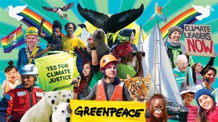 How do i cancel my greenpeace monthly donation in india