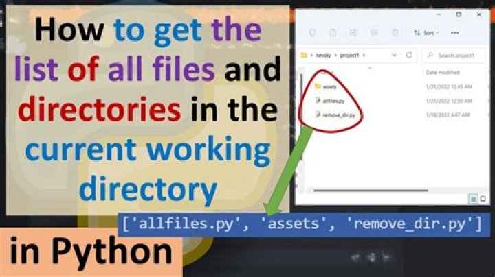 How do i change the working directory in python
