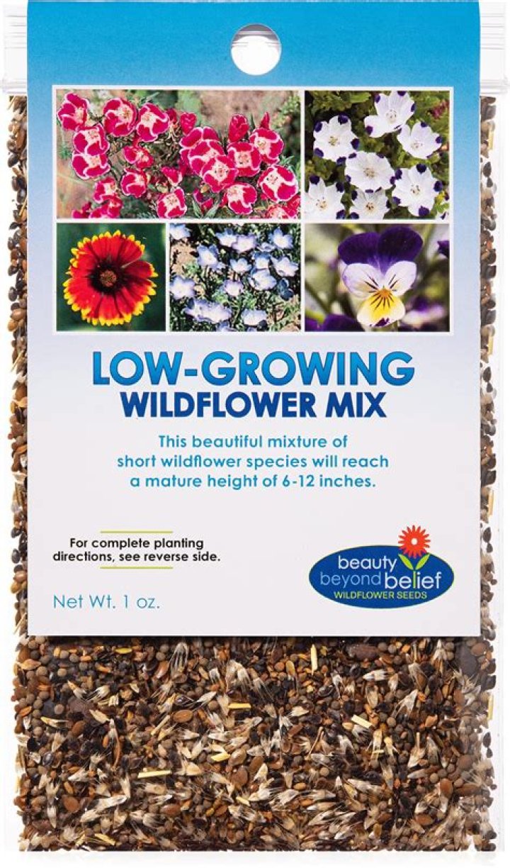 How long does wildflower take to ship