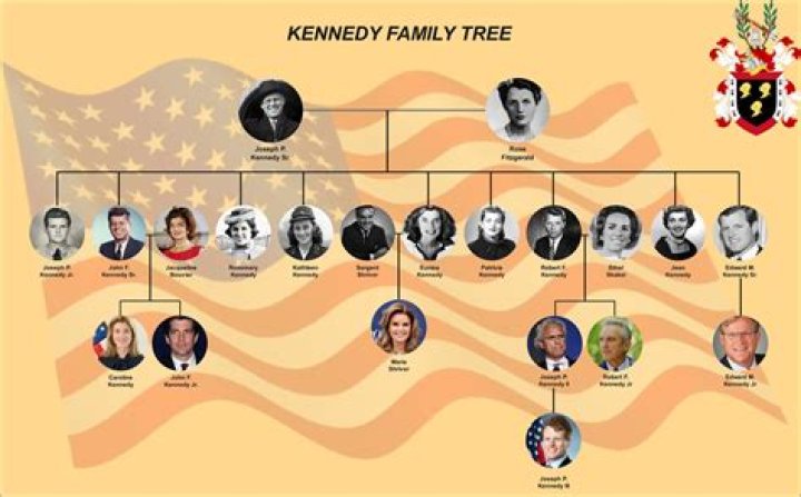 How Many Grandchildren Did John Madden have? Details About His Family