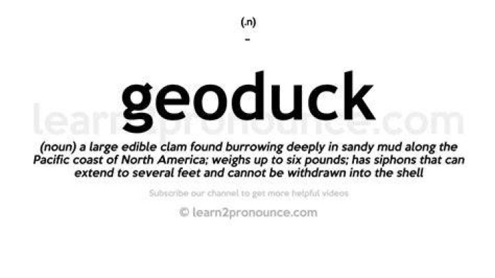 How to pronounce geoduck