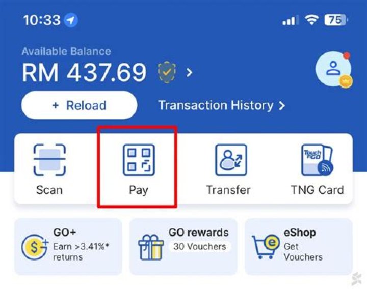 How to Send, Withdraw or Check eWallet Balance