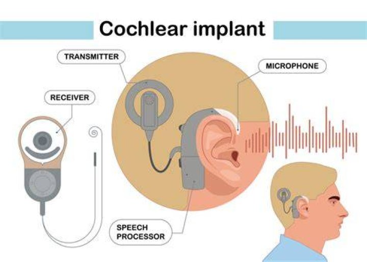 Is Blue Ivy Deaf | Hearing Aid And Health Update 2023