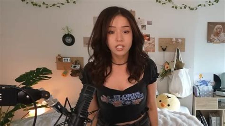 Is Vlogger Pokimane Gay? Sexuality And Room Tour Drama & Allegations Explained