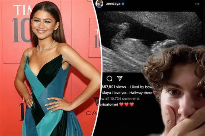 Is Zendaya Pregnant? Rumors About The Actress Addressed