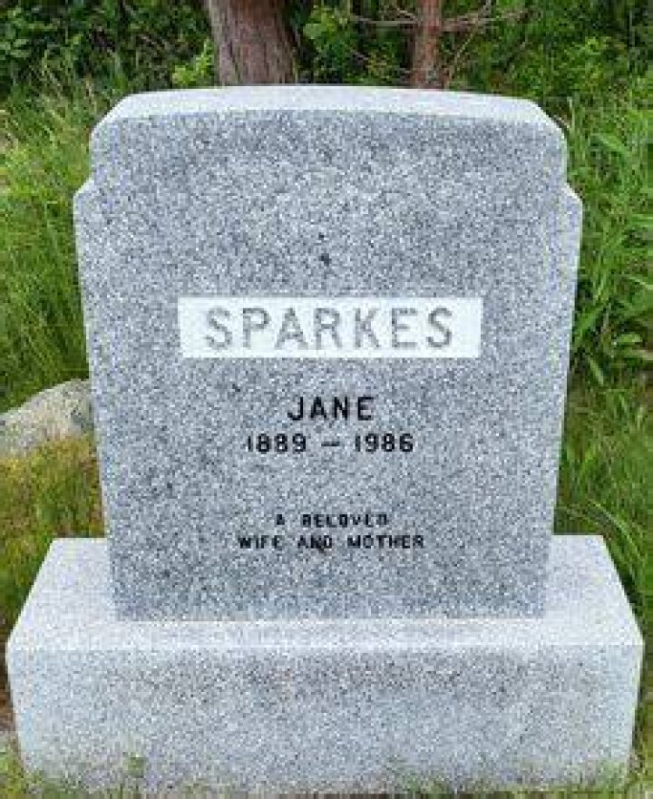 Jane Sparkes