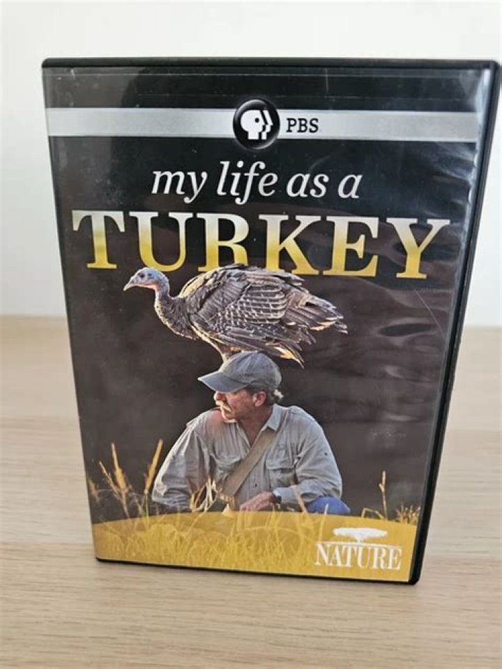 Joe Hutto Wikipedia: Everything To Know About The ‘My Life As A Turkey’ Author