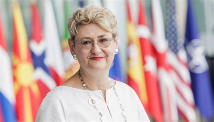 Meet The Romanian Journalist Oana Lungescu- Details To Know About Her Wikipedia Twitter And More