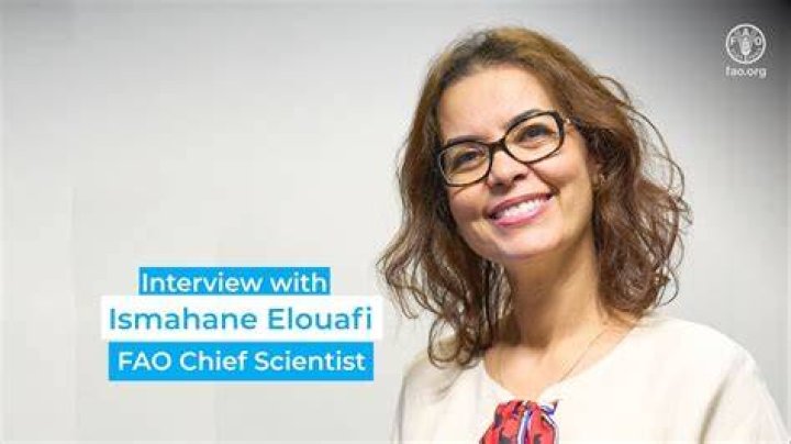 Najat El Wafi’s biography, net worth, fact, career, awards and life story