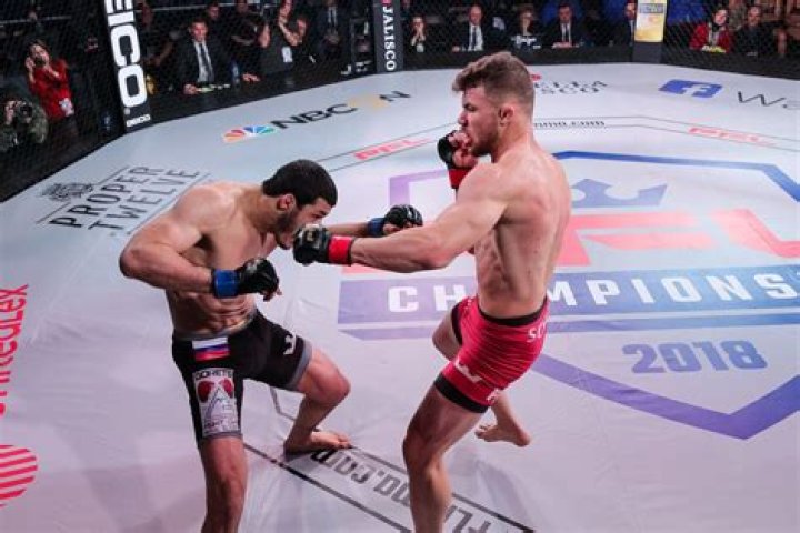 Natan Schulte MMA