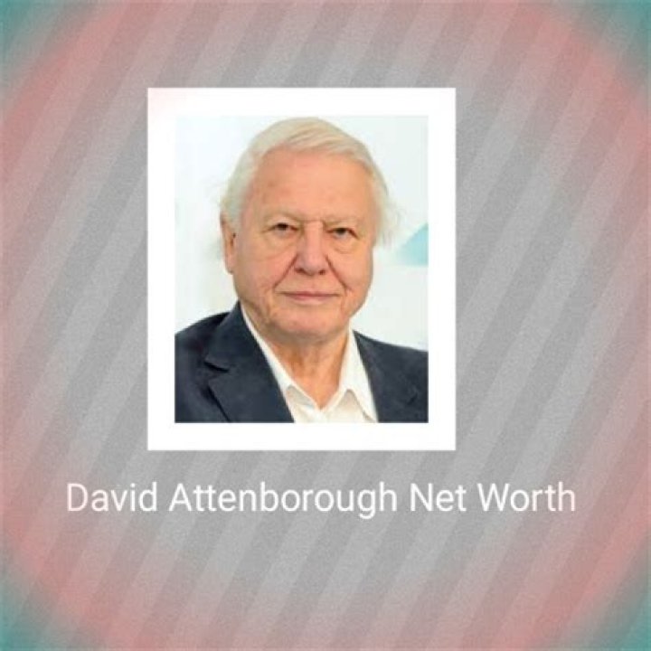 Peter Overton Net Worth, Income, Salary, Earnings, Biography