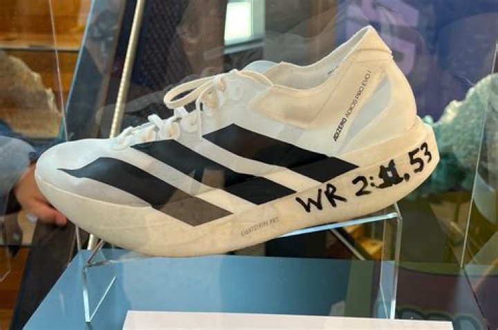 Rod Laver Age, Twitter, Adidas Shoes, Record, Nationality