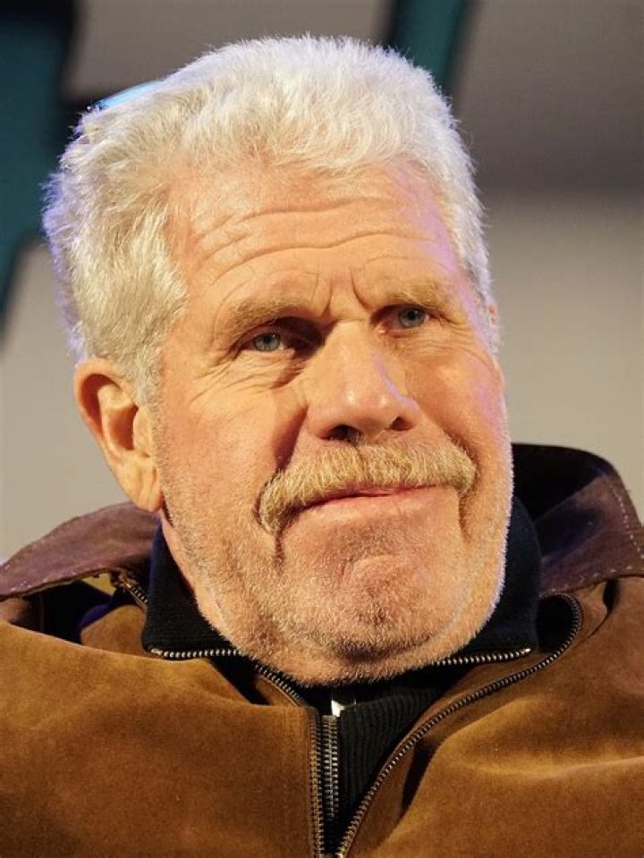 Ron Perlman’s net worth, biography, fact, career, awards and life story