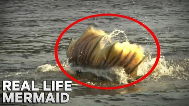 Sauce 90 Car Accident And Bomb In Ocean- The Guy “.sauce.90” Who Caught Mermaid Sirens In His TikTok Video