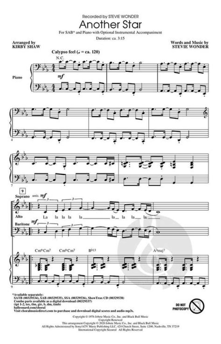 Stevie Wonder’s
Another Star Lyrics