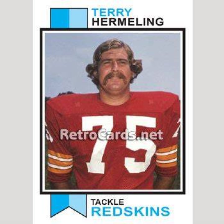 Terry Hermeling