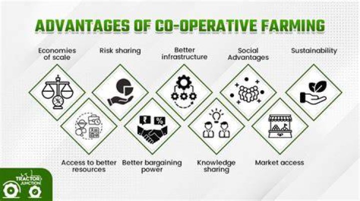 THE IMPACT OF COOPERATIVE FARMING SOCIETIES IN THE DEVELOPMENT OF AGRICULTURE