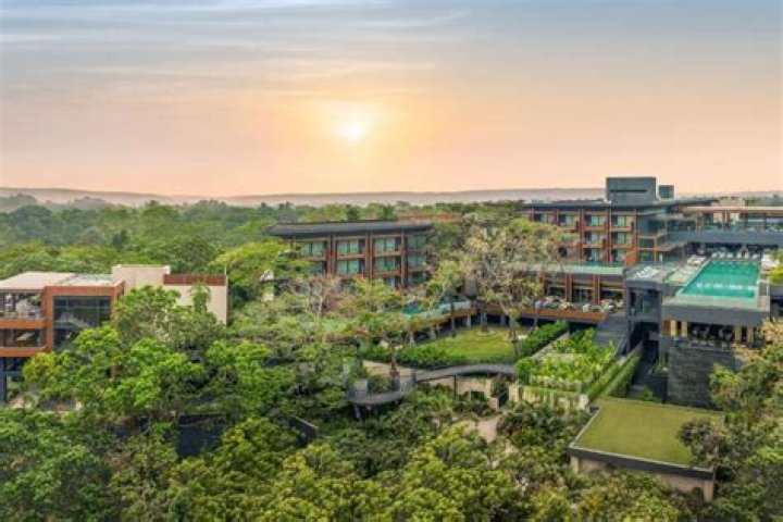The Ivy Anjuna, Vagator, India