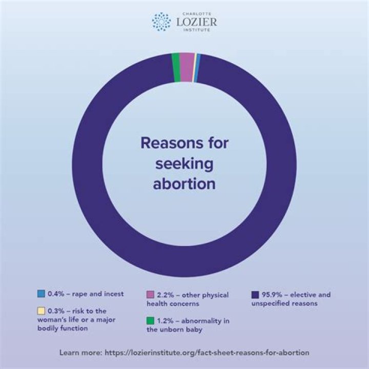 Tomi Lahren Pregnant Abortion: Facts To Know About Commentator
