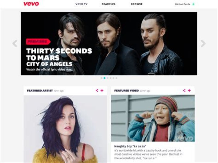 Vevo Net Worth