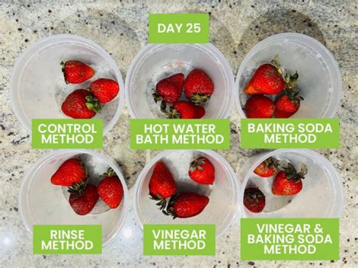 What clean crew eats diatoms