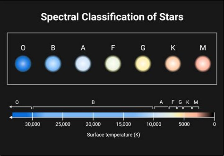 What do we mean by a stars spectral type