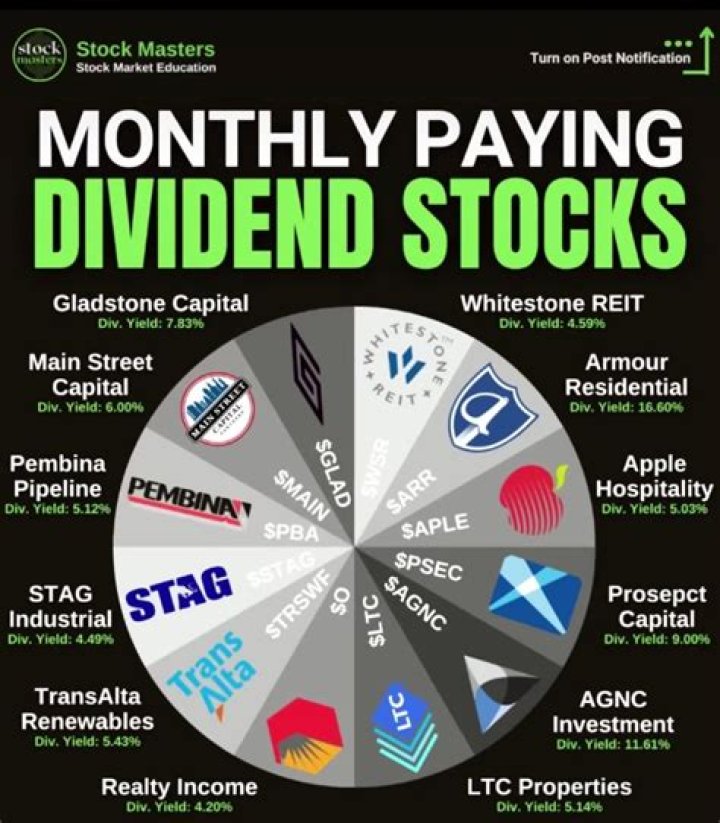 What does reinvest dividends mean