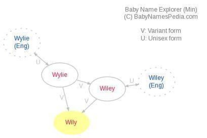 What does wily mean