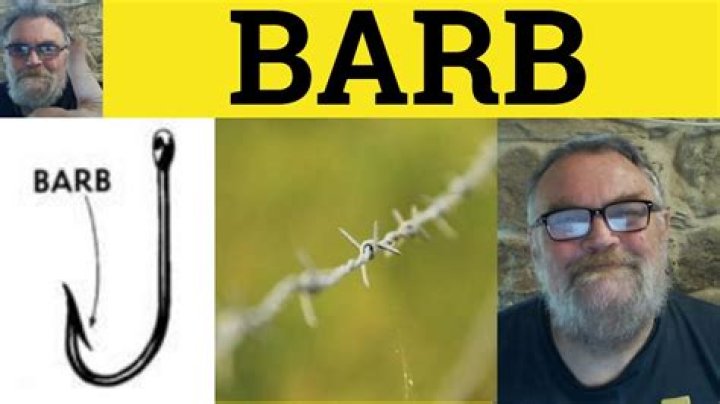 What Is A Barb On TikTok? Meaning And Definition – Urban Dictionary