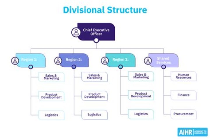 What is a tail like structure that functions