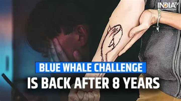What Is The Blue Whale Challenge TikTok – Trend By Jonathan Galindo