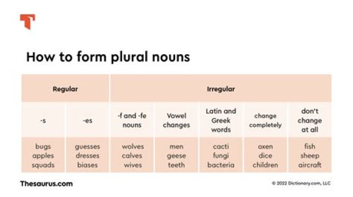 What is the plural form of the word syllabus