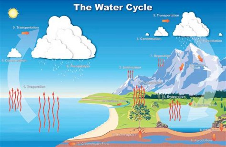 What role does the sun and gravity play in the water cycle