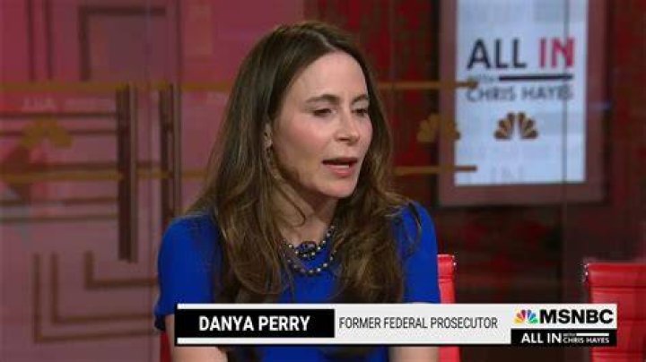 Who Is Attorney Danya Perry? Everything To Know About Her And Wedding With Husband Mark Steven Hootnick