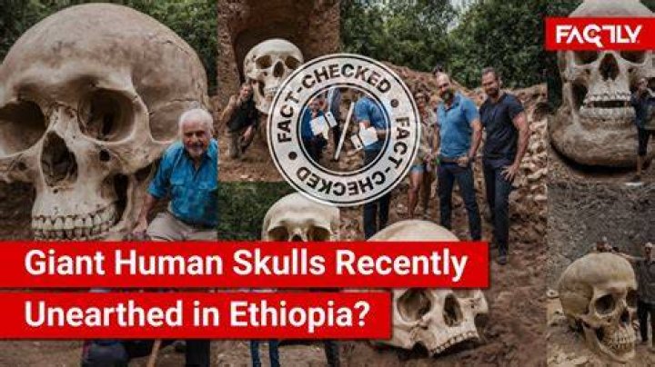 Who is Brien Foerster? Brien Foerster Wikipedia, Age, Elongated Skulls, Nationality, Family, Wife