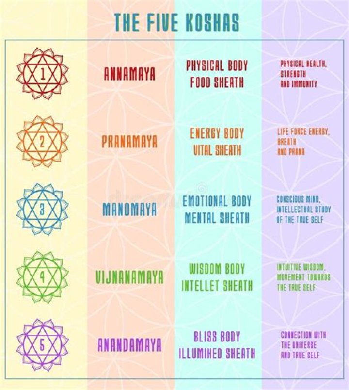 Who is Kosha Gada? Wikipedia and Net Worth Explored