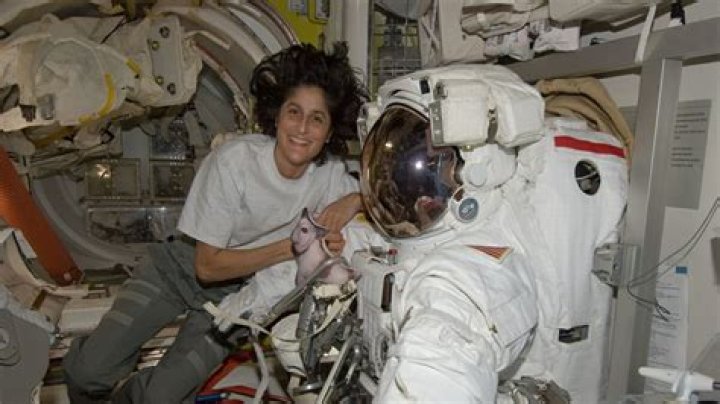 Who Is Sunita Williams Husband Michael J. Williams? Kids And Family