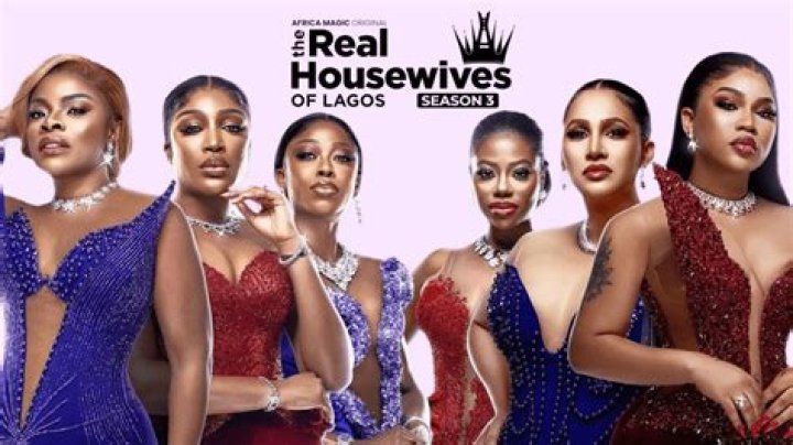 Who Is Toyin Lawani Husband Segun Wealth? Details On The Net Worth And Age Of Real Housewives Of Lagos Cast