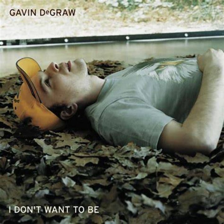 Why did Gavin DeGraw write I don’t want to be?
