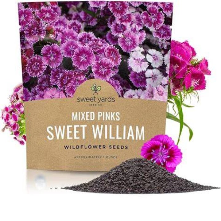 William Seeds